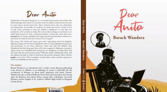BOOK REVIEW: Dear Anita Blurb and cover page of Dear Anita. PHOTO/Courtesy.
