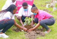 Volunteers from JamboJet Kenya planting trees in the launch of a partnership between JamboJet and Big Ship CBO. PHOTO/JamboJet.