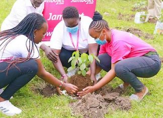 Kenya: Jambojet joins efforts to plant 15 billion trees Volunteers from JamboJet Kenya planting trees in the launch of a partnership between JamboJet and Big Ship CBO. PHOTO/JamboJet.