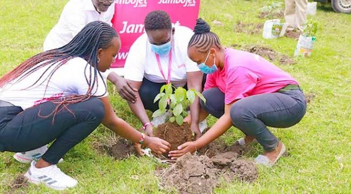 Kenya: Jambojet joins efforts to plant 15 billion trees Volunteers from JamboJet Kenya planting trees in the launch of a partnership between JamboJet and Big Ship CBO. PHOTO/JamboJet.