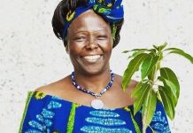 Wangari Maathai. PHOTO/Courtesy.