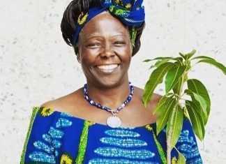 Happy Birthday, Wangari Maathai! Wangari Maathai. PHOTO/Courtesy.