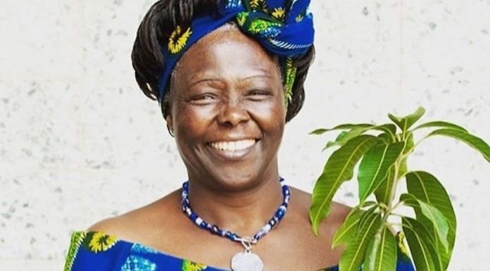 Happy Birthday, Wangari Maathai! Wangari Maathai. PHOTO/Courtesy.
