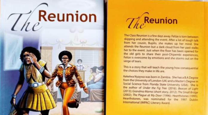 BOOK REVIEW: The Reunion Cover and blurb of The Reunion. PHOTO/Courtesy.