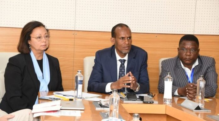 Evidence-based policies expected as MoE partners with global initiative From left Dr. Randa Grob-Zakhary, CEO of Education.org, Elyas Abdi, Director General Ministry of Education, and Kilemi Mwiria, Managing Director Education.org Africa. The three were addressing the media in a launch meeting of the International Working Group in Nairobi. PHOTO/Courtesy.