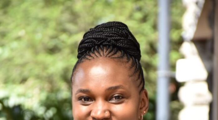 Could Public-Private Partnerships enhance better healthcare access in Sub-Saharan Africa?