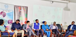 Beyond My Status: Celebrating refugee and immigrant resilience