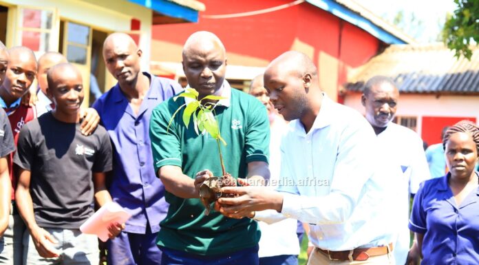 NEMA keen to make Cardinal Otunga a model school curbing climate change Albert Ombiro (in green T-Shirt), Chief Principal Cardinal Otunga High, leads teachers and students in a tree planting session at the school's grounds on July 17, 2023. The event was led by NEMA. PHOTO/Nehemiah Josephat, Scholar Media Africa.
