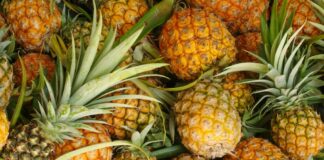 AGRIBUSINESS: Why pineapple farming is an economic game changer