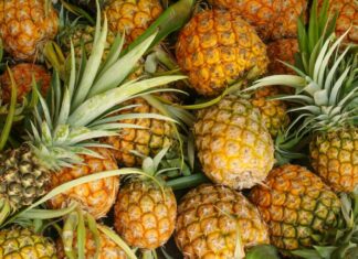 AGRIBUSINESS: Why pineapple farming is an economic game changer