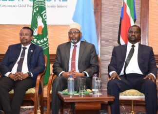 Kenya: Strengthening transboundary pest control for sustainable development