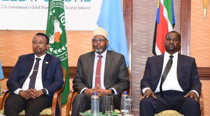 Kenya: Strengthening transboundary pest control for sustainable development