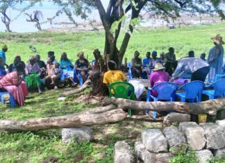 Involve rural peasant farmers in ongoing discussions, climate champions insist