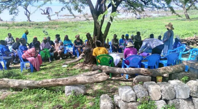 Involve rural peasant farmers in ongoing discussions, climate champions insist