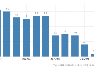 Kenya’s inflation rate and its effects on women; here’s how to survive