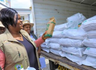 Food Insecurity: Climate resilient practices key in combating shortage