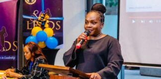 The Power of Mentorship: Reflections from a mentor, co-author