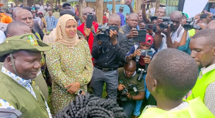 How Kakamega residents responded to national call to tree planting