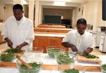 Rethinking Quality Assurance in Kenyan Universities