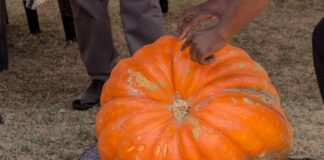 Lesotho: Early identification critical in preventing climate change-infused disability