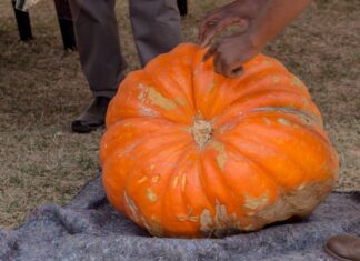 Lesotho: Early identification critical in preventing climate change-infused disability