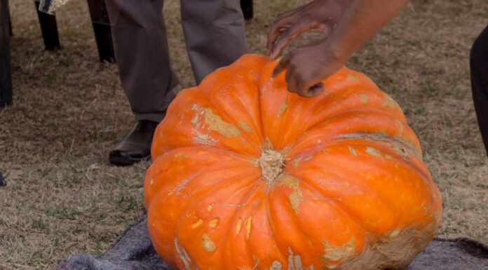 Lesotho: Early identification critical in preventing climate change-infused disability