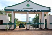Entrance to Lukenya Unversity at Mtito Andei, Makueni County. The university will launch a Pan-African Institute tomorrow November 9, and hold 5th graduation ceremony on November 10, 2023. PHOTO/Lukenya University.