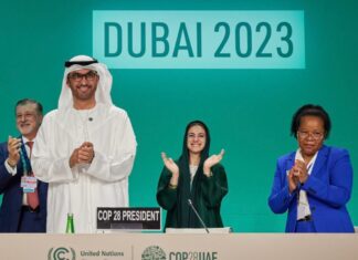 Expectations high in global climate action as Dubai hosts COP-28