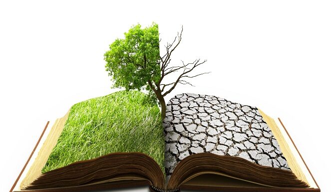 Roots of Resilience: African literature’s response to climate challenges By authoring about climate change, the literature serves as a wake-up call to readers to act towards the deterioration of natural resources, environment degradation, and the stinging effect of climate change. PHOTO/Ecologise.