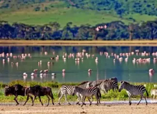 Preserving Paradise: Wildlife laws as pillars of sustainable development in Kenya Kenya is a country rich with wildlife. Integrating conservation objectives into development strategies is key to a sustainable development in Kenya. PHOTO/Travel Triangle.