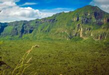 Citizens have a choice and voice on matters concerning environmental conservation and related issues and should be listened to. PHOTO/The Lawyer Africa.