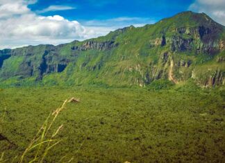 Exploring the symbiosis of expression and environmental wellbeing in Kenya Citizens have a choice and voice on matters concerning environmental conservation and related issues and should be listened to. PHOTO/The Lawyer Africa.