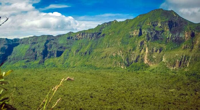 Exploring the symbiosis of expression and environmental wellbeing in Kenya Citizens have a choice and voice on matters concerning environmental conservation and related issues and should be listened to. PHOTO/The Lawyer Africa.