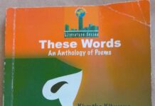Cover page of These Words anthology by Prof. Kivutha Kibwana. DESIGN/One Planet Publishers.