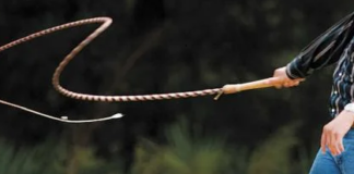 Poetry: Whip of Rebellion Cracking the whip. PHOTO/Courtesy.