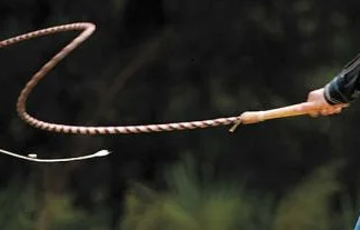 Poetry: Whip of Rebellion Cracking the whip. PHOTO/Courtesy.