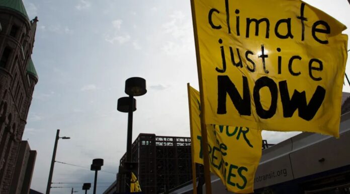 How Access to Justice Can Pave the Way for Kenyan Climate Action