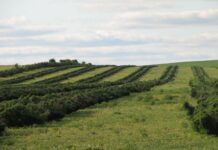 Faith, Freedom, and the Path to Sustainable Development in Kenya