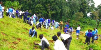 Kaimosi Friends University marks National Elimu Tree Planting Day, leads fight on climate change
