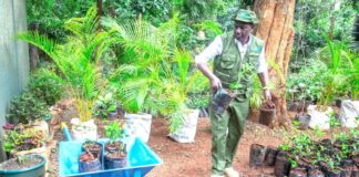 Leveraging private equity and public-private partnerships for Climate Finance in Kenya