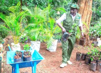 Leveraging private equity and public-private partnerships for Climate Finance in Kenya