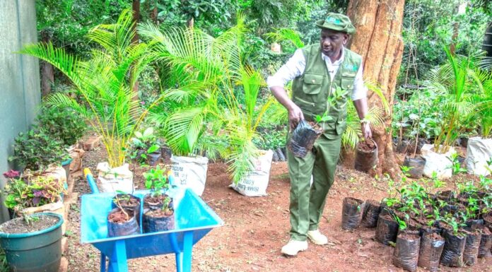 Leveraging private equity and public-private partnerships for Climate Finance in Kenya