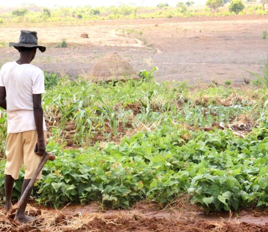 Climate Adaptation and Human Rights in Kenya: Navigating a complex nexus