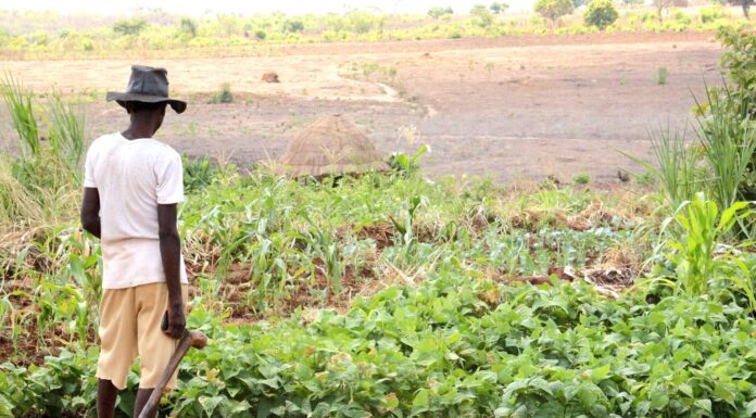 Climate Adaptation and Human Rights in Kenya: Navigating a complex nexus