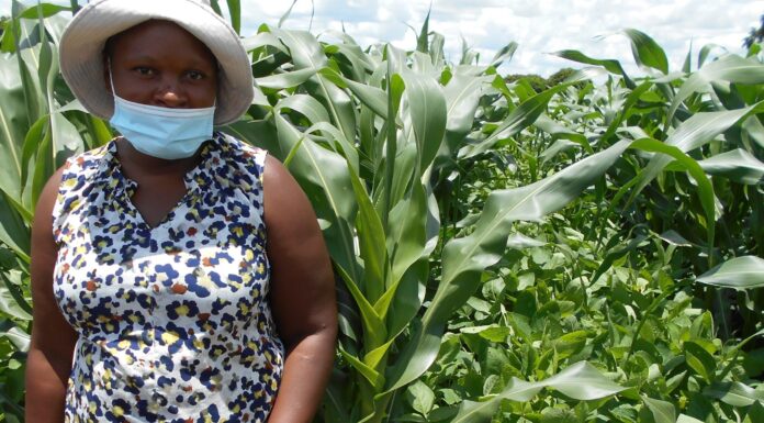 Food Insecurity in Africa: Challenges, causes and comprehensive solutions