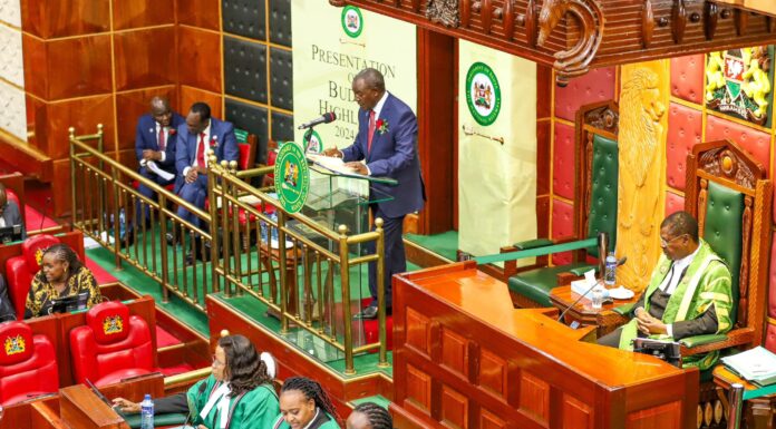 Executive Puppets: The rubber stamp role of Kenya’s National Assembly