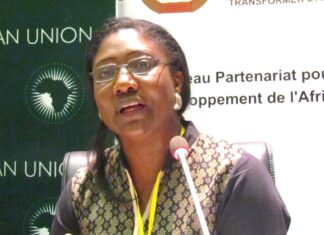 AUDA-NEPAD’s Estherine Lisinge-Fotabong acknowledges hurdles, celebrates CAADP progress