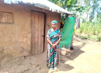 In the Shadow of the Valley of Widowhood: Harrowing ordeal of 60-year-old widow at hands of beasts of in-laws