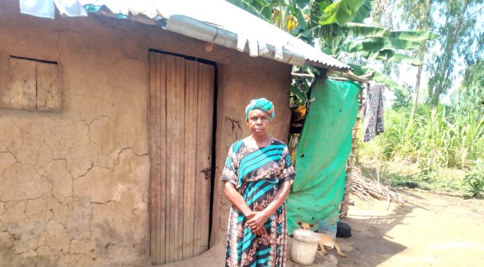 In the Shadow of the Valley of Widowhood: Harrowing ordeal of 60-year-old widow at hands of beasts of in-laws