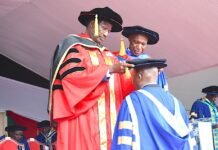 The Legitimacy of Non-PhDs as Academic Staff in Universities